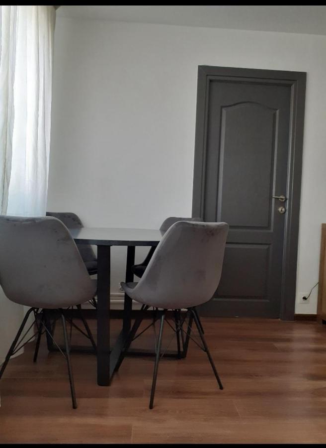 Silene Studio Craiova Eksteriør billede