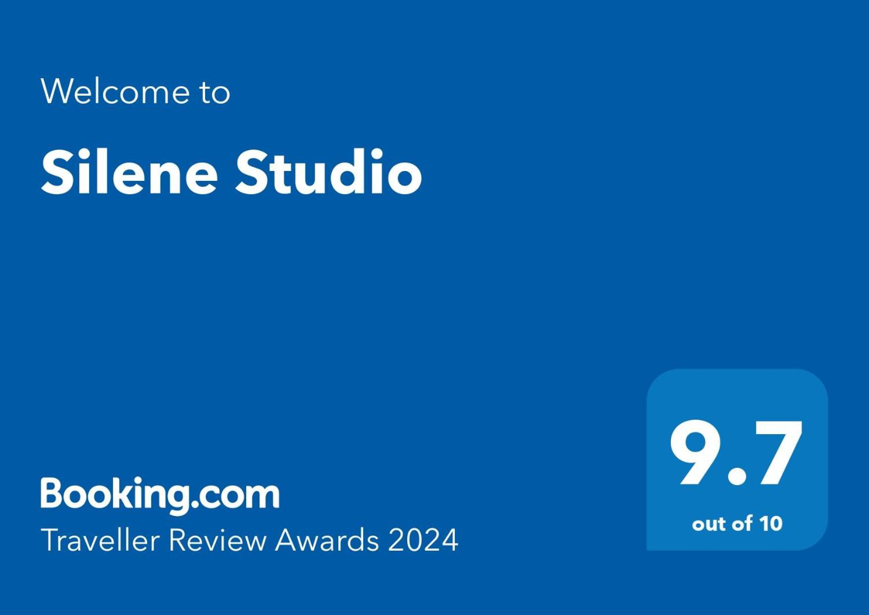Silene Studio Craiova Eksteriør billede