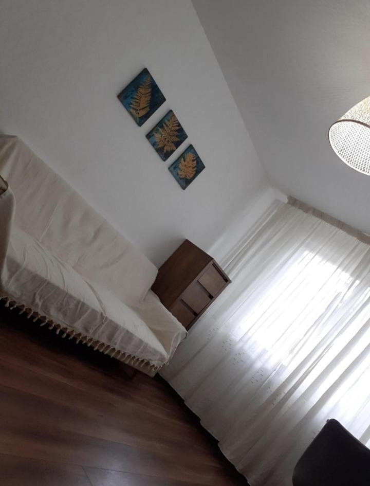 Silene Studio Craiova Eksteriør billede